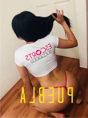 Alana escorts services in Crowsnest Pass